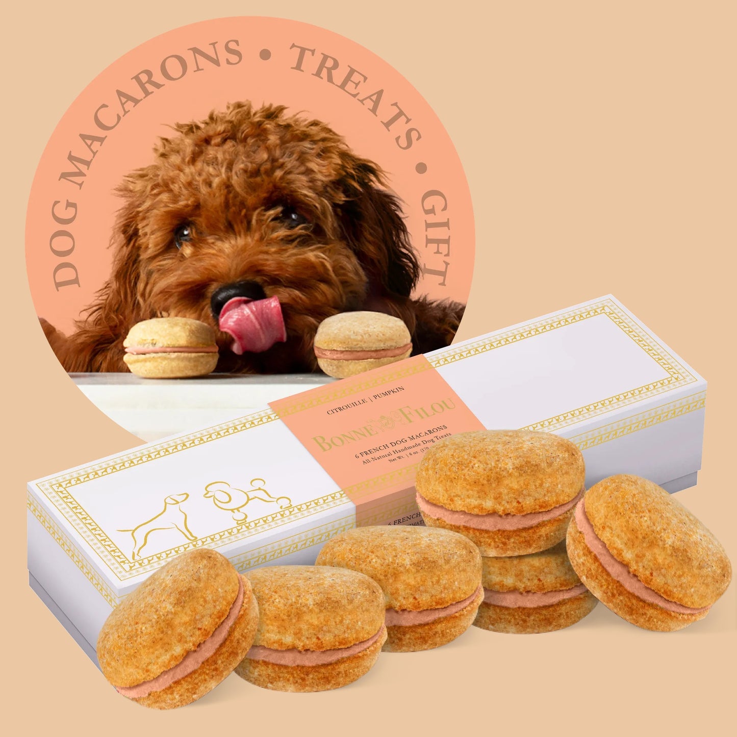 Dog Macarons - Box of 6 (Available in 12 Flavors)