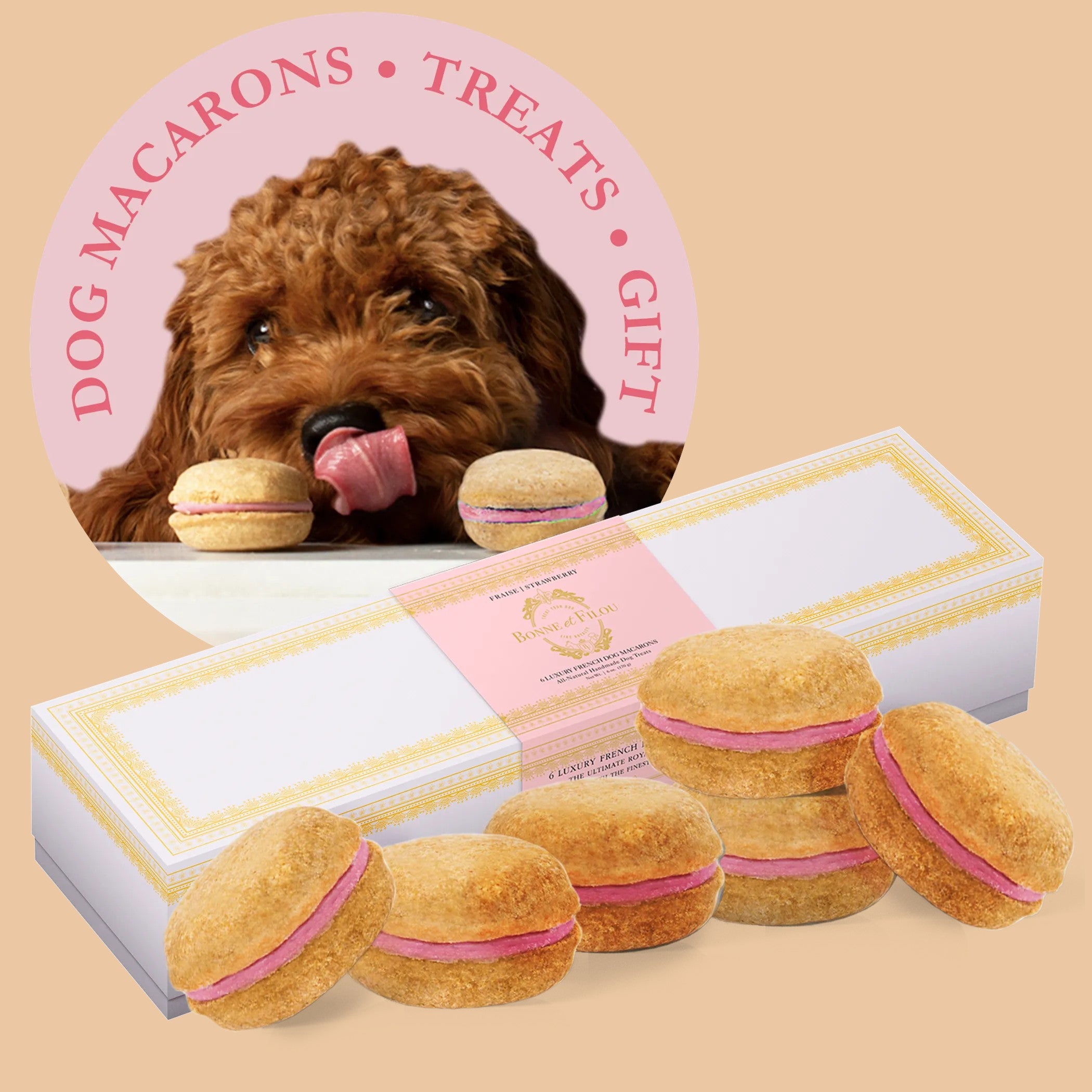 Dog Macarons - Box of 6 (Available in 12 Flavors)