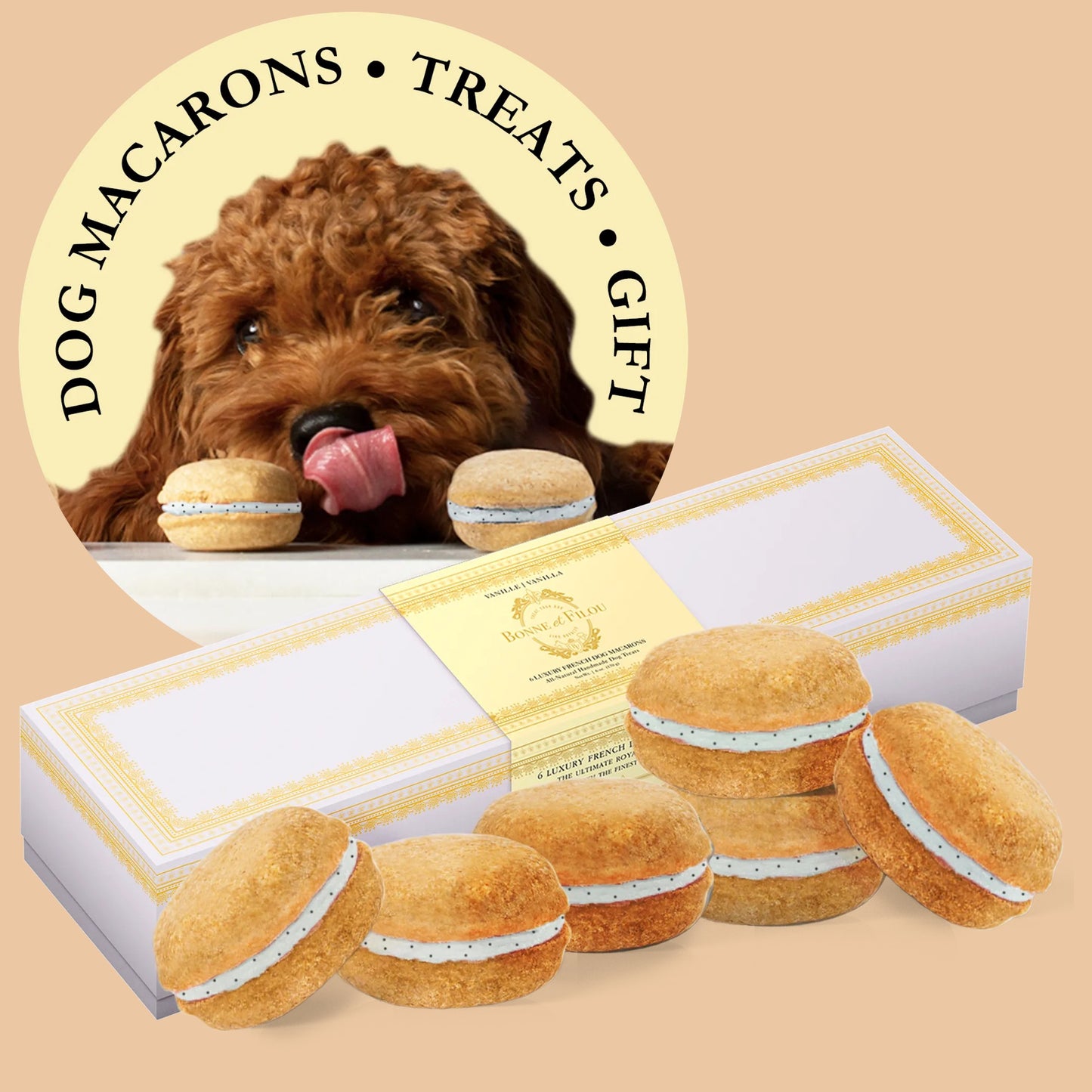 Dog Macarons - Box of 6 (Available in 12 Flavors)