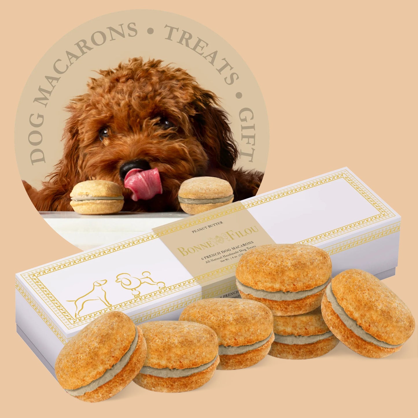 Dog Macarons - Box of 6 (Available in 12 Flavors)