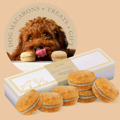 Dog Macarons - Box of 6 (Available in 12 Flavors)