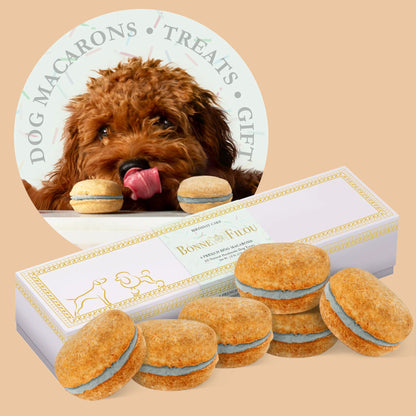 Dog Macarons - Box of 6 (Available in 12 Flavors)
