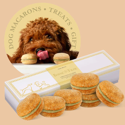 Dog Macarons - Box of 6 (Available in 12 Flavors)