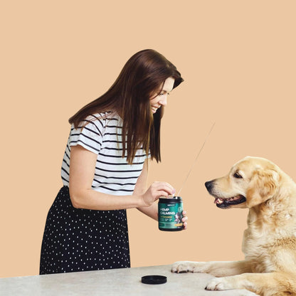 Calming Chews for Dogs Anxiety Relief