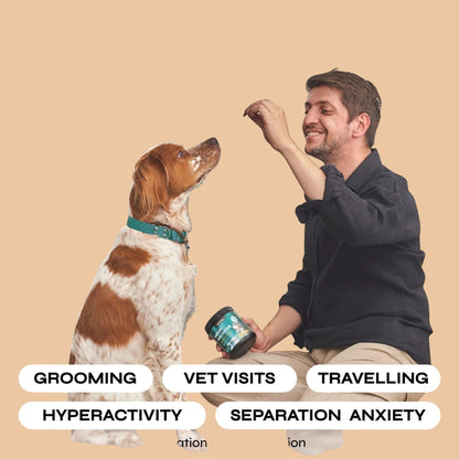 Calming Chews for Dogs Anxiety Relief