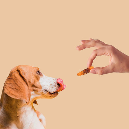 Chicken Jerky Dog Treats