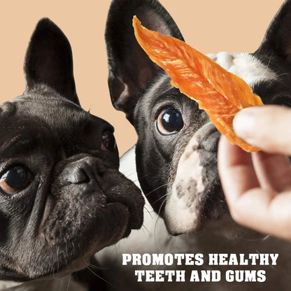 Chicken Jerky Dog Treats 1.5 Lb Human Grade Pet Snacks & Grain Free Organic Meat All Natural High Protein Dried Strips Best Chews for Training Small