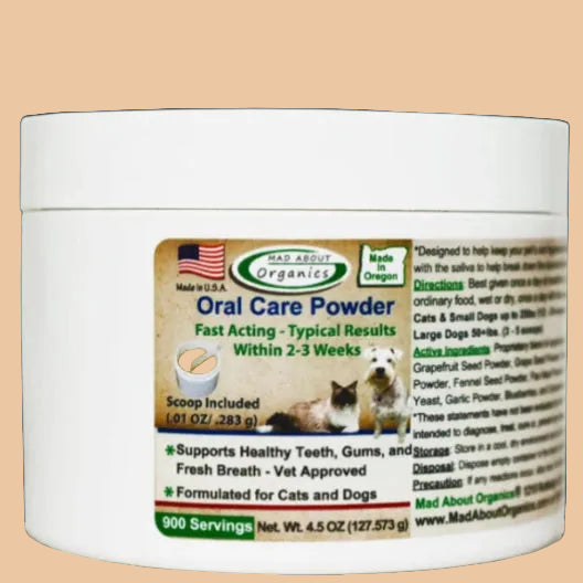 Jar of oral care powder with a label on a wooden surface and green leafy background
