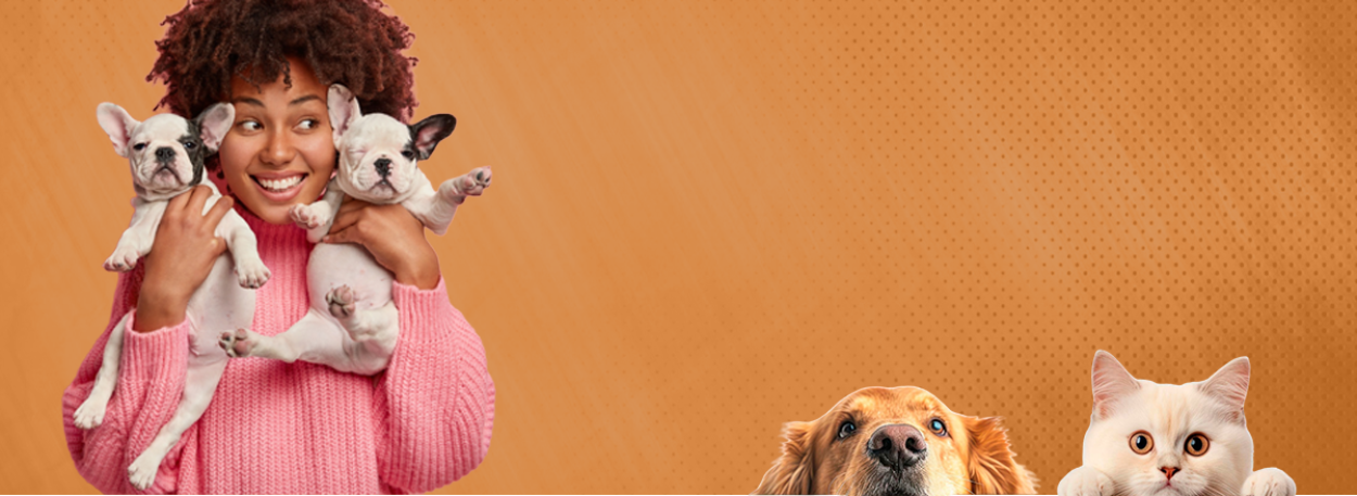 Woman holding two small dogs with a cat and another dog in front of an orange background