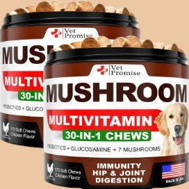 Mushroom for Dogs 170 Chews Turkey Tail Mushroom