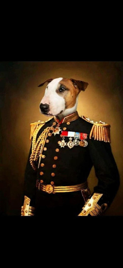 Dog in a military uniform with medals on a dark background